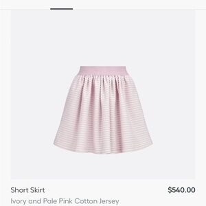 Dior Soft Pink Striped Mini Skirt